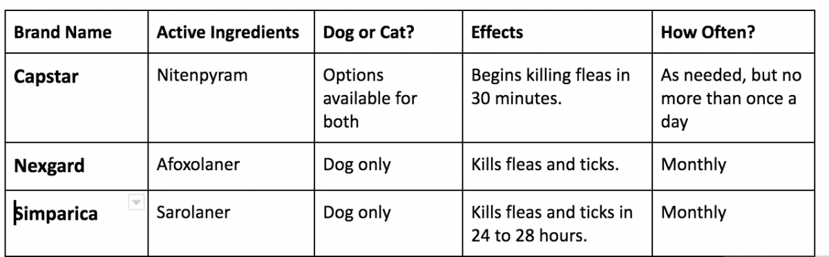 Choosing the Right Flea and Tick Prevention for Your Pet - Stack ...