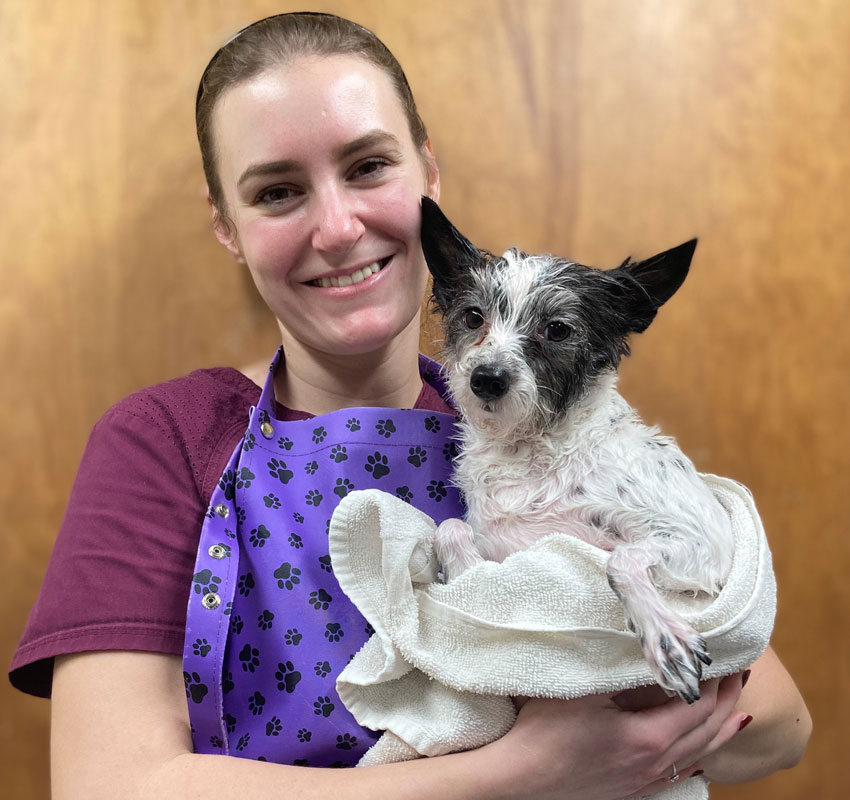 Grooming Vet in Syracuse Stack Veterinary Hospital